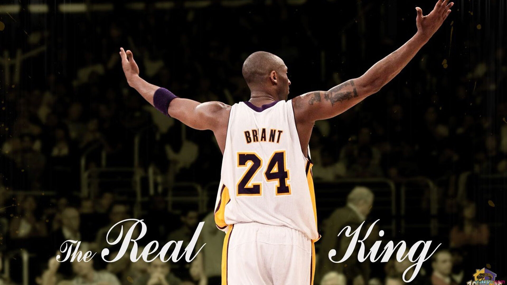 全球战队技术交流会召开，lol全球战队