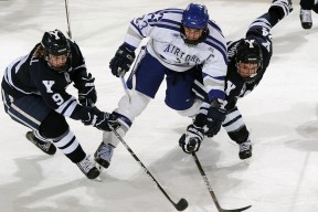 开云网页-“未来领跑者”青少年青训课程在北京得到广泛认可，推动青训行业发展